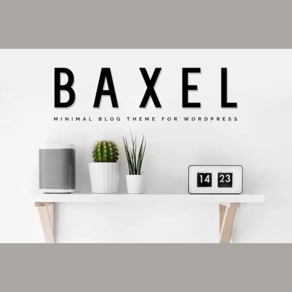 Baxel – Minimal Blog Theme for WordPress