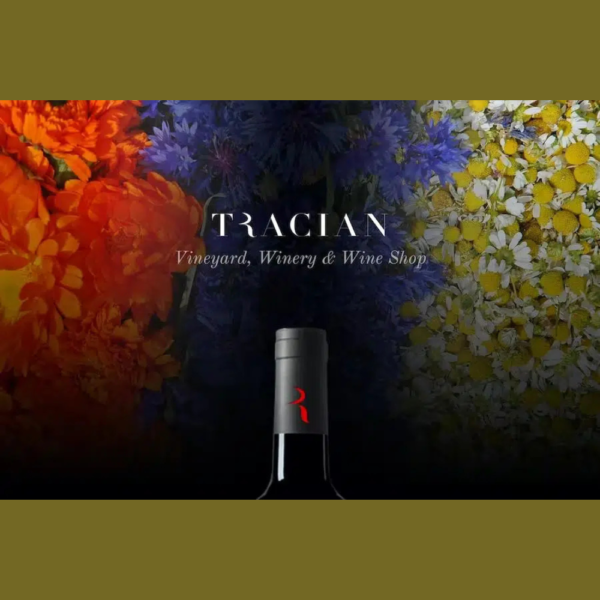 Tracian – Wine WordPress Theme